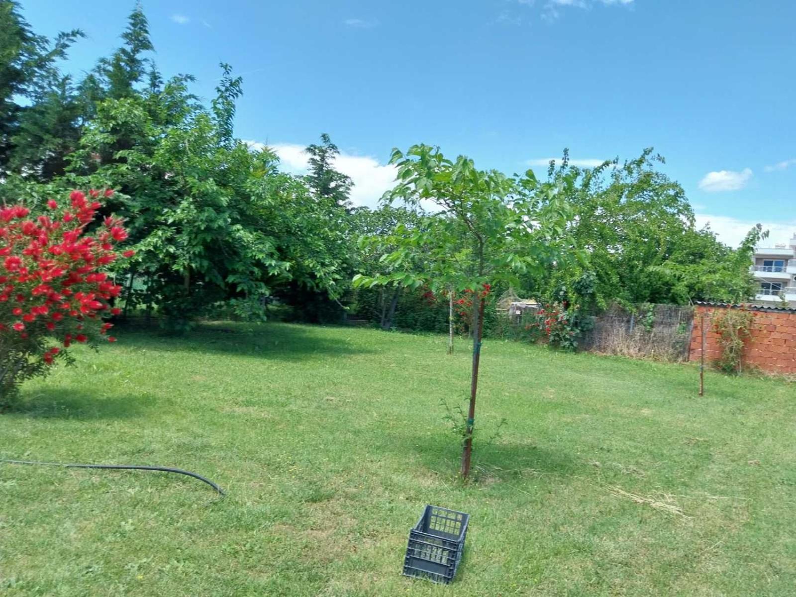 Appartamento Erofilio Keramotí Esterno foto